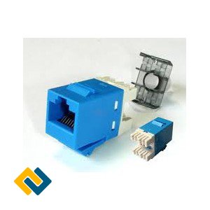 Nhân mạng Cat6 AMP chính hãng