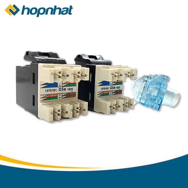 Nhân mạng cat5e AMP