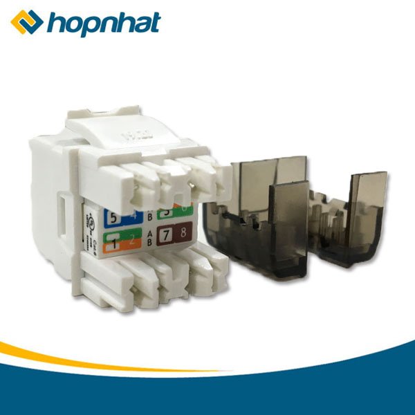 Nhân mạng cat6 AMP