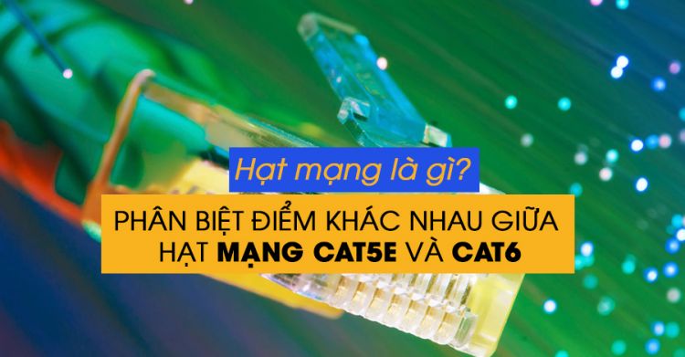 Hạt mạng là gì? Phân biệt các loại hạt mạng cat5 và cat6