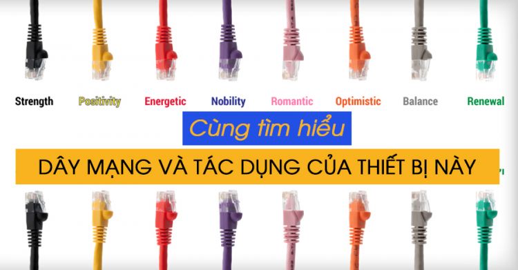 Dây cáp mạng là gì? công dụng của dây cáp mạng