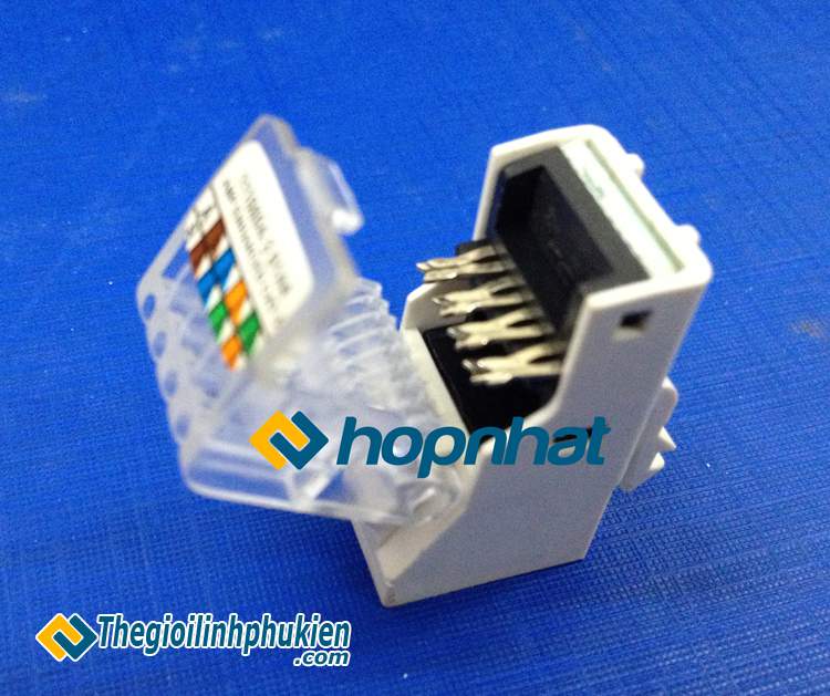 nhan-mang-khong-dung-tool-amp